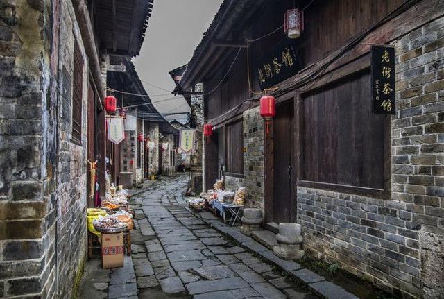 逃离金色蜜蜂森林